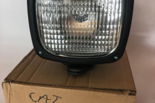 cat.light
